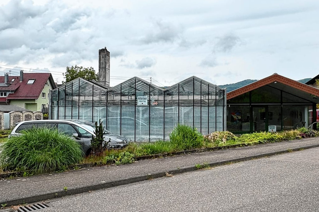Gewächshäuser der ehemaligen Gärtnerei Frank in Steinach vor der geplanten Entwicklung des Wohnquartiers.