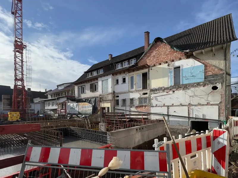 Bibrach_Baden_20260202 (6)