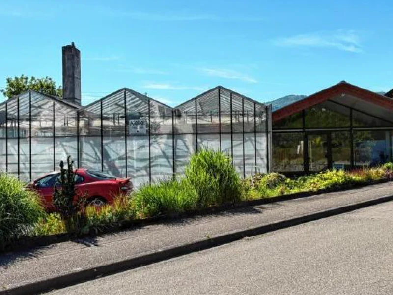 Ehemalige Gärtnerei Frank in Steinach, auf deren Areal orbau ein neues Wohnquartier plant.